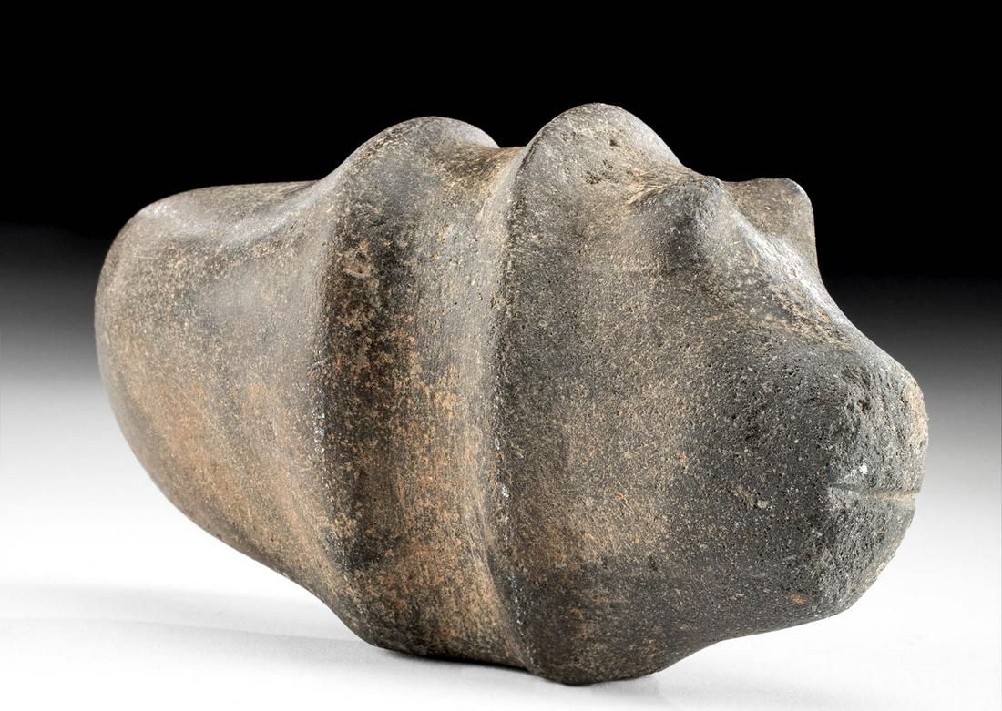 Rare Colima Stone Dog-Faced Mace: Pre-Columbian, Western Mexico, Colima, ca. 200 BCE to 200 CE. Rare stone axe or mace head in the form of an animal, presumably a dog, but possibly a bear. Full-grooved stone with more typical axe end,