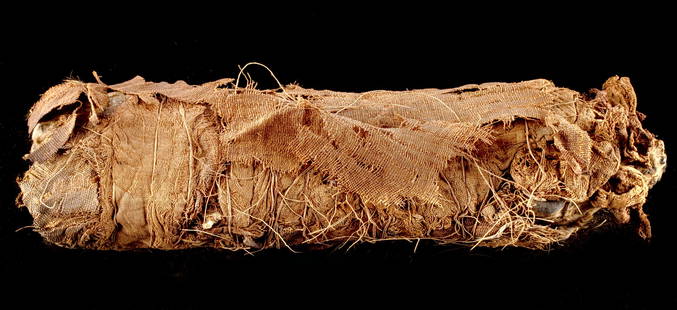 Egyptian Ptolemaic Linen Wrapped Mummified Cat w/ X-Ray: Egypt, Ptolemaic Period, ca. 332 to 30 BCE. A lovely mummified cat of a sizable form bound in delicately woven cotton linens. The roughly ovoid bundle was tightly wrapped at one time, but some