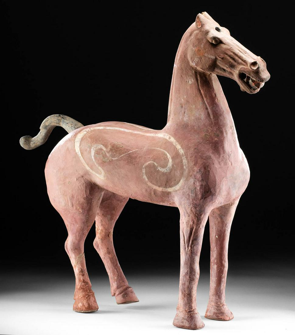 Large Chinese Han Dynasty Pottery Horse w/ TL: East Asia, China, Han Dynasty, ca. 206 BCE to 220 CE. An incredible Han Dynasty statue of a horse, standing with his back left hoof lifted, presenting a lively visage with bulging eyes, raised ears, a