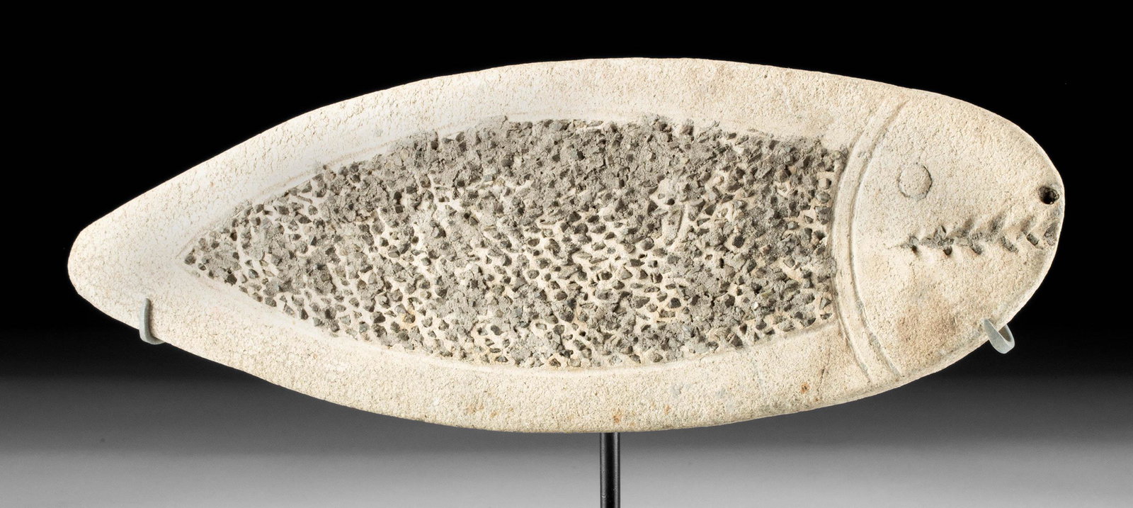 Tumaco La Tolita Terracotta / Stone Fish Grater: Pre-Columbian, Columbia and Ecuador, La Tolita (sometimes Tumaco), ca. 600 BCE to 200 CE. A hand-built pottery effigy grater, or rollador, in the shape of a fish with stone chips at the center. The bo