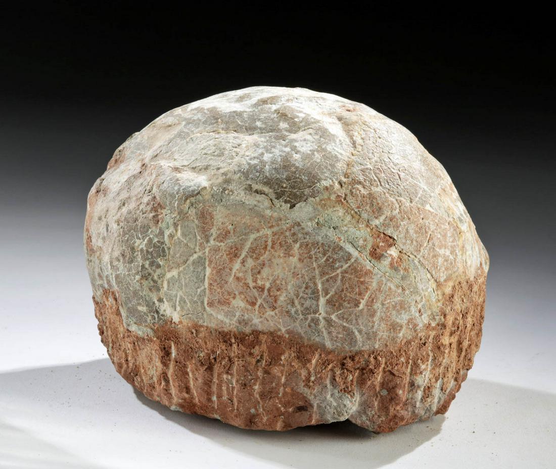 Fossilized Dinosaur Egg - Hadrosaur: Eastern Asia, China, Henan Province, late Cretaceous, ca. 100 to 65 million years ago. A well-preserved fossilized egg from the hadrosauridae family, with the eggshell texture nicely preserved, with a