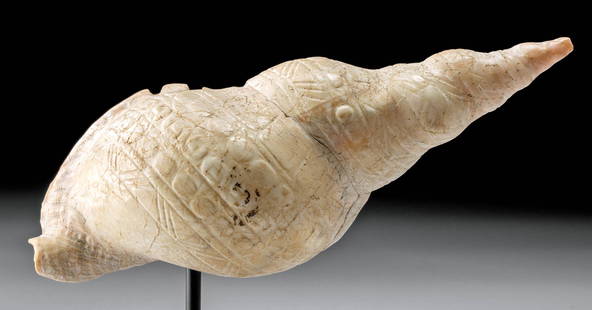 Maya Mollusk Shell Intricate Incised Details: Pre-Columbian, southern Mexico to Guatemala, Maya, Late Classic Period, ca. 550 to 900 CE. A beautiful pendant fashioned from the shell of a large spiral mollusk that bears finely preserved registers