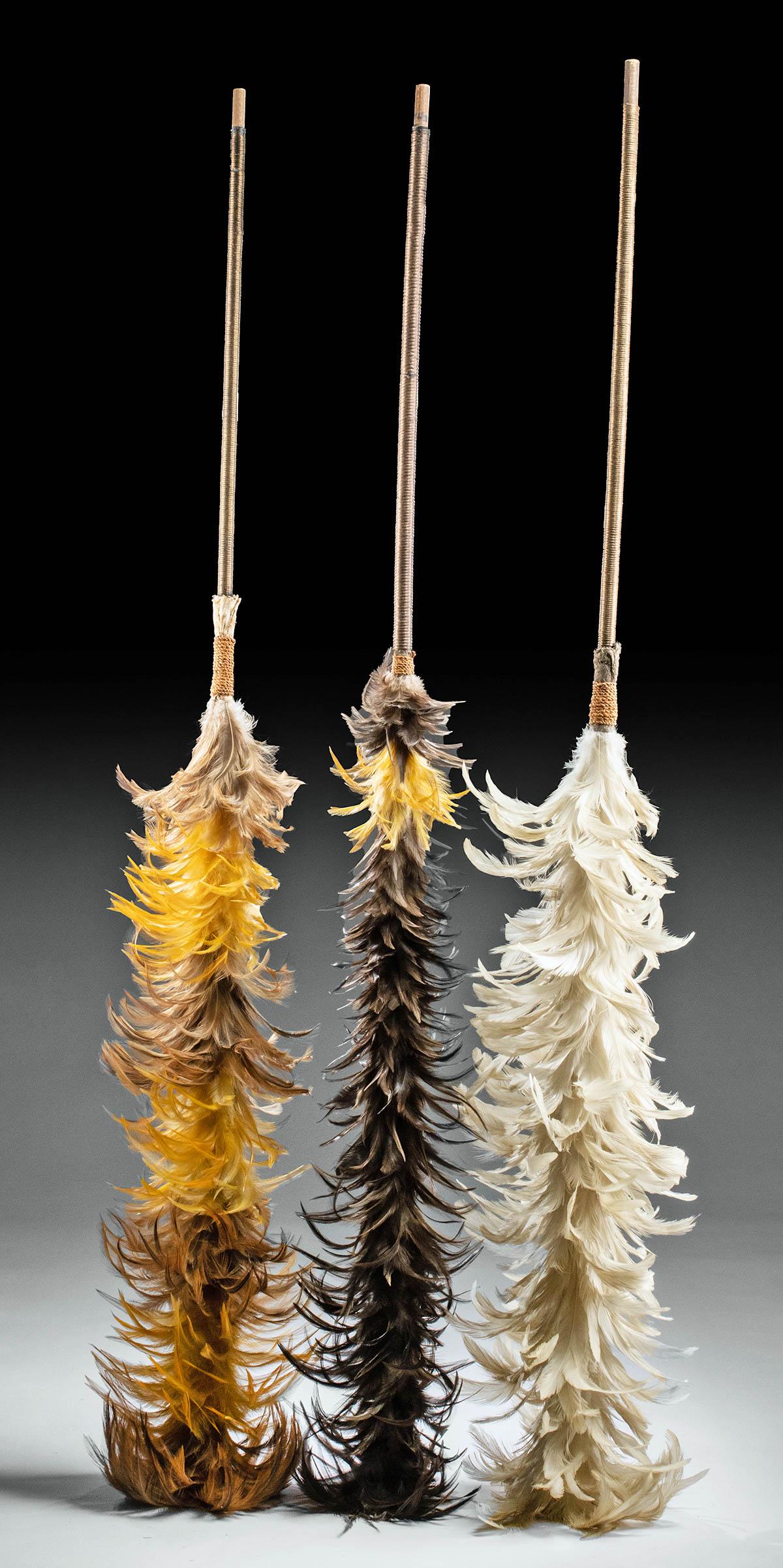 19th C. Hawaiian Royal Standards / Kahilis (3) (1 of 2)