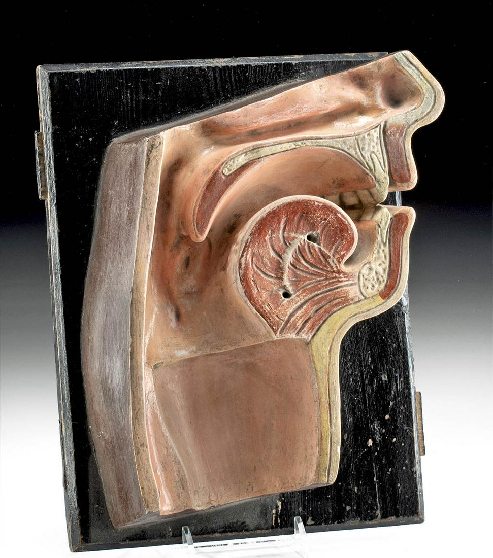 19th C. German Wood / Papier Mache Anatomy Throat Model (1 of 3)