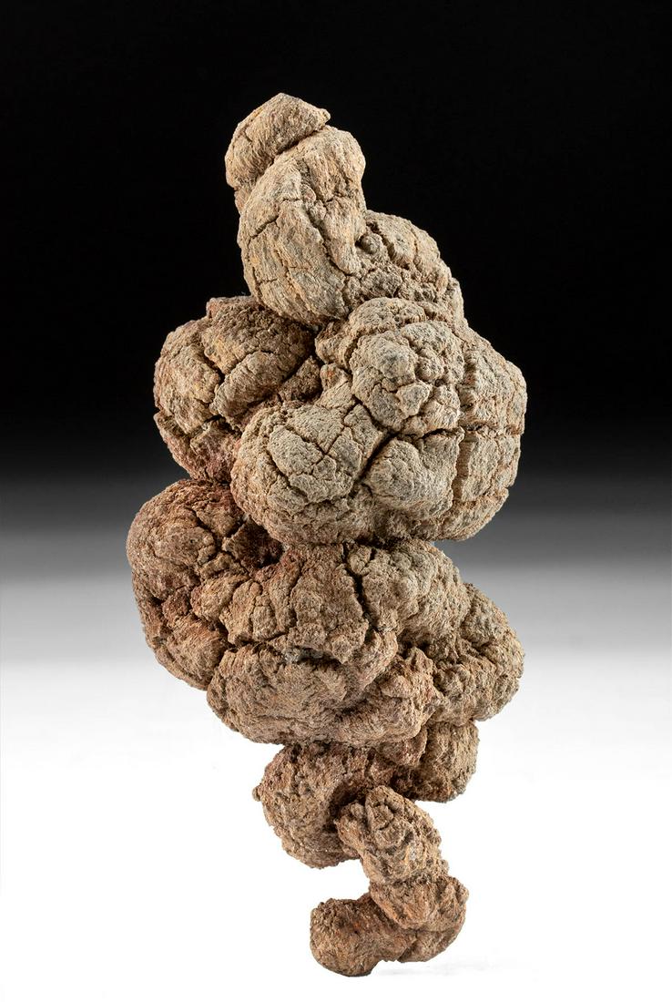 Prehistoric North American Fossilized Coprolite (1 of 4)