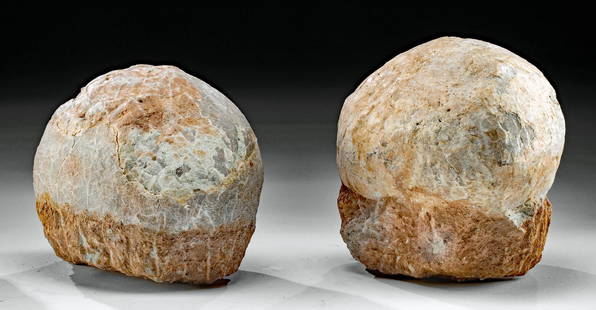 Pair of Fossilized Hadrosauridae Dinosaur Eggs: Eastern Asia, China, Henan Province, late Cretaceous, ca. 100 to 65 million years ago. Two well-preserved fossilized dinosaur eggs from the hadrosauridae family. The eggshell surface and ovoid shape
