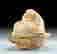item-102068964=2