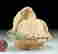 item-102068964=4