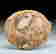 item-102068964=6