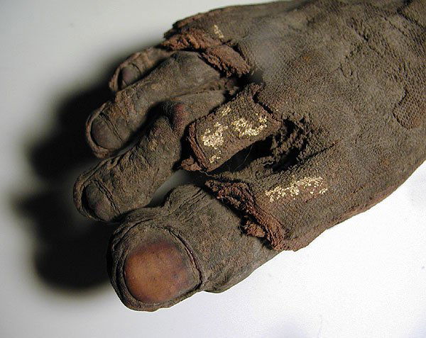 A Very Rare Egyptian Mummified Foot - 4