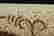 item-104494421=4
