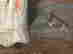 item-105947616=2