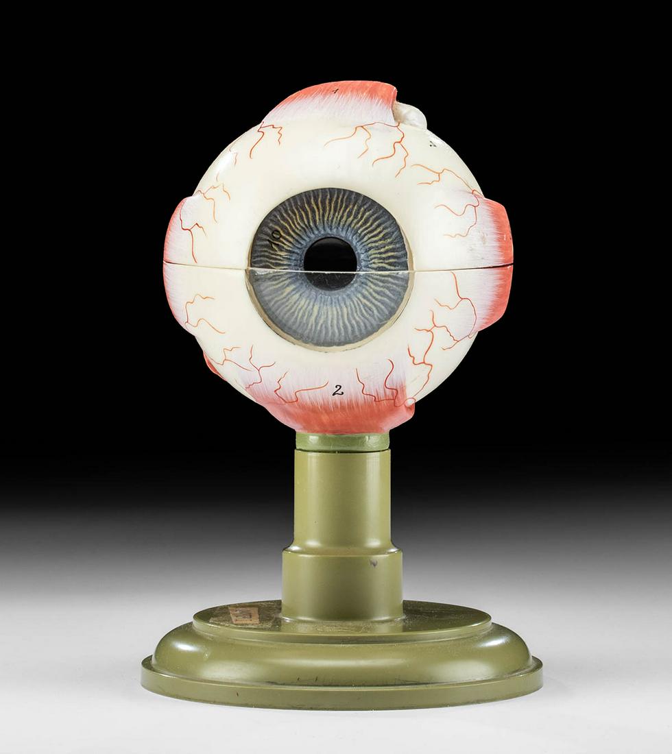 1960s German SOMSO Plast Anatomical Eye Model (1 of 3)