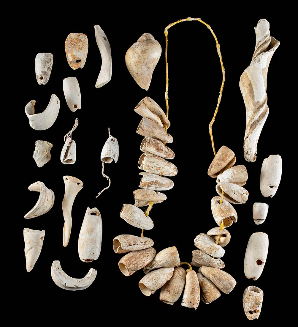 40 Mississippian Shell Beads and 1 Stone Arrowhead (1 of 3)