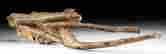 item-114074503=2