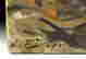 item-114074888=2