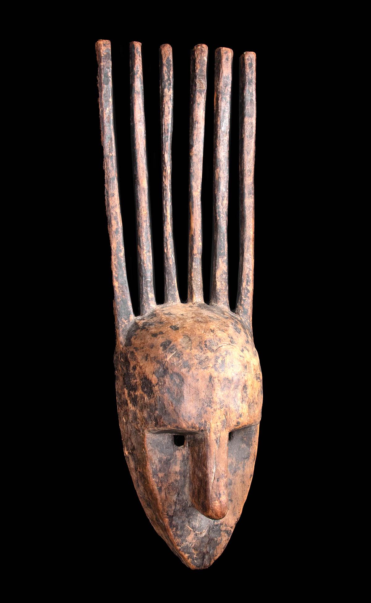 20th C. African Bamana Wood N'Tomo Mask - Female (1 of 4)