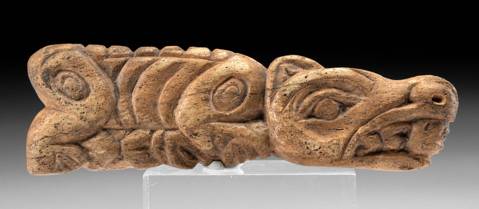 19th C. Tlingit / Haida Bone Bear Shaman Amulet: Native American, Pacific Northwest Coast, United States or Canada, Tlingit or Haida people, ca. 19th century CE. A marine mammal bone amulet and pendant in the form of a stylized bear devouring a huma