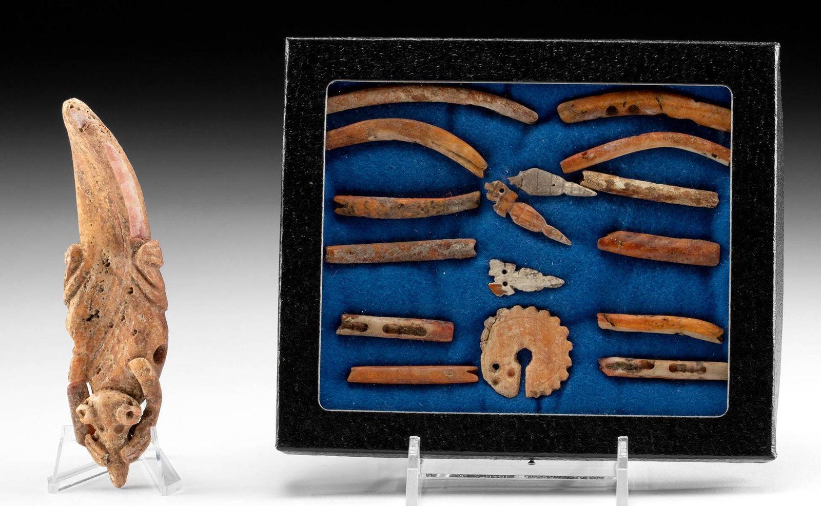 16 Colima Spondylus Shell Pieces + 1 Pendant (1 of 3)