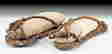 item-130638300=2