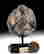 item-131121141=5