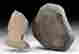 item-131121284=2
