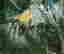 item-137135706=2