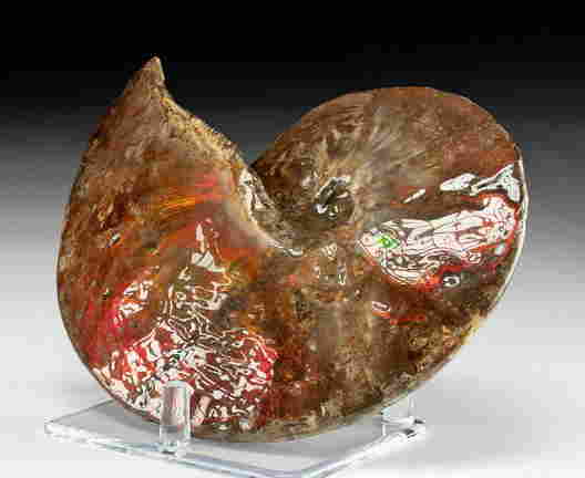 Rocks, Minerals & Fossils