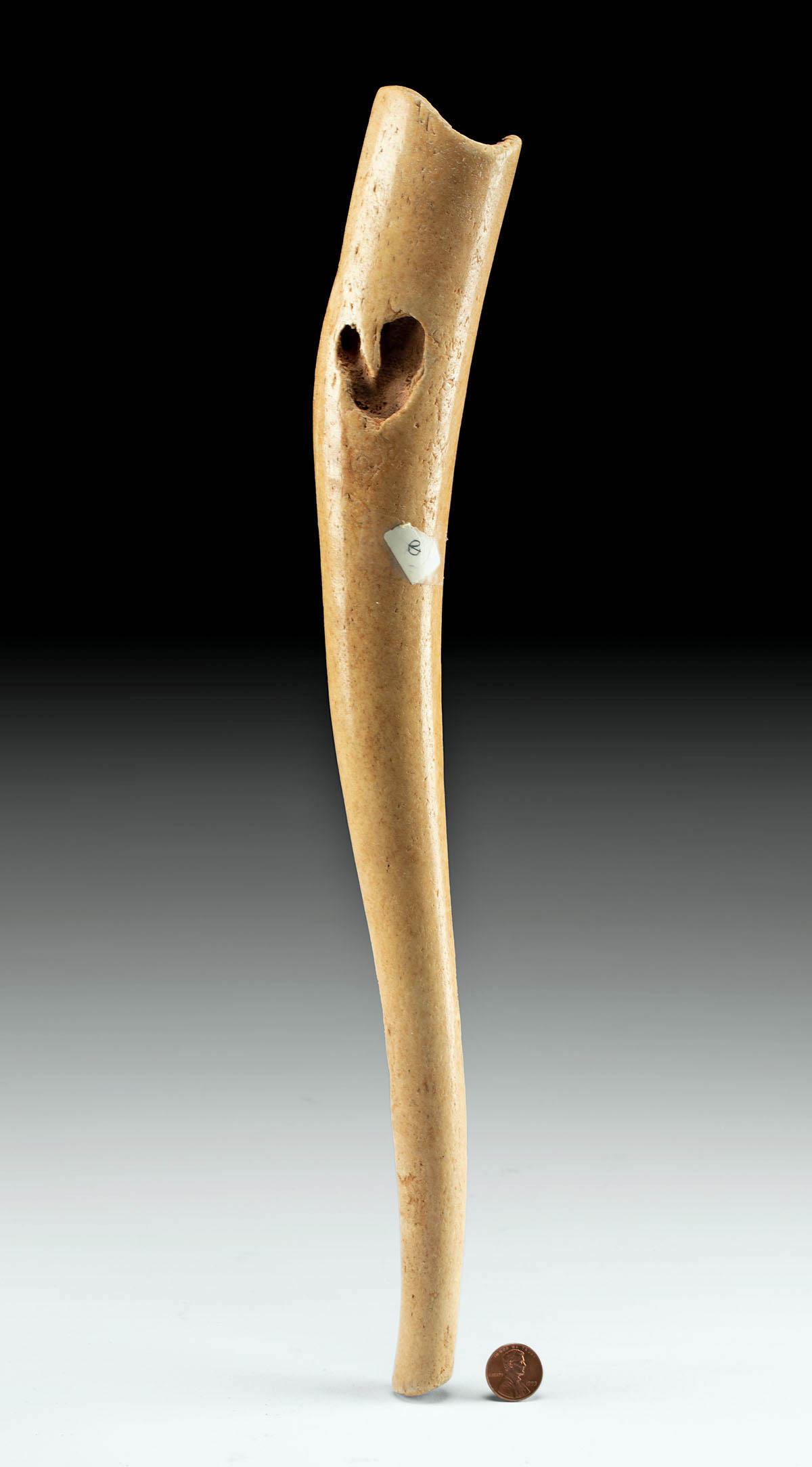 Alaskan Inuit Fossilized Walrus Bone Oosik Baculum: **Originally Listed At $400** Arctic shores, ca. 5000 years ago, modified sometime in the 19th or 20th century by Native Alaskan Inuit people. A large, polished walrus baculum. The walrus is an iconic