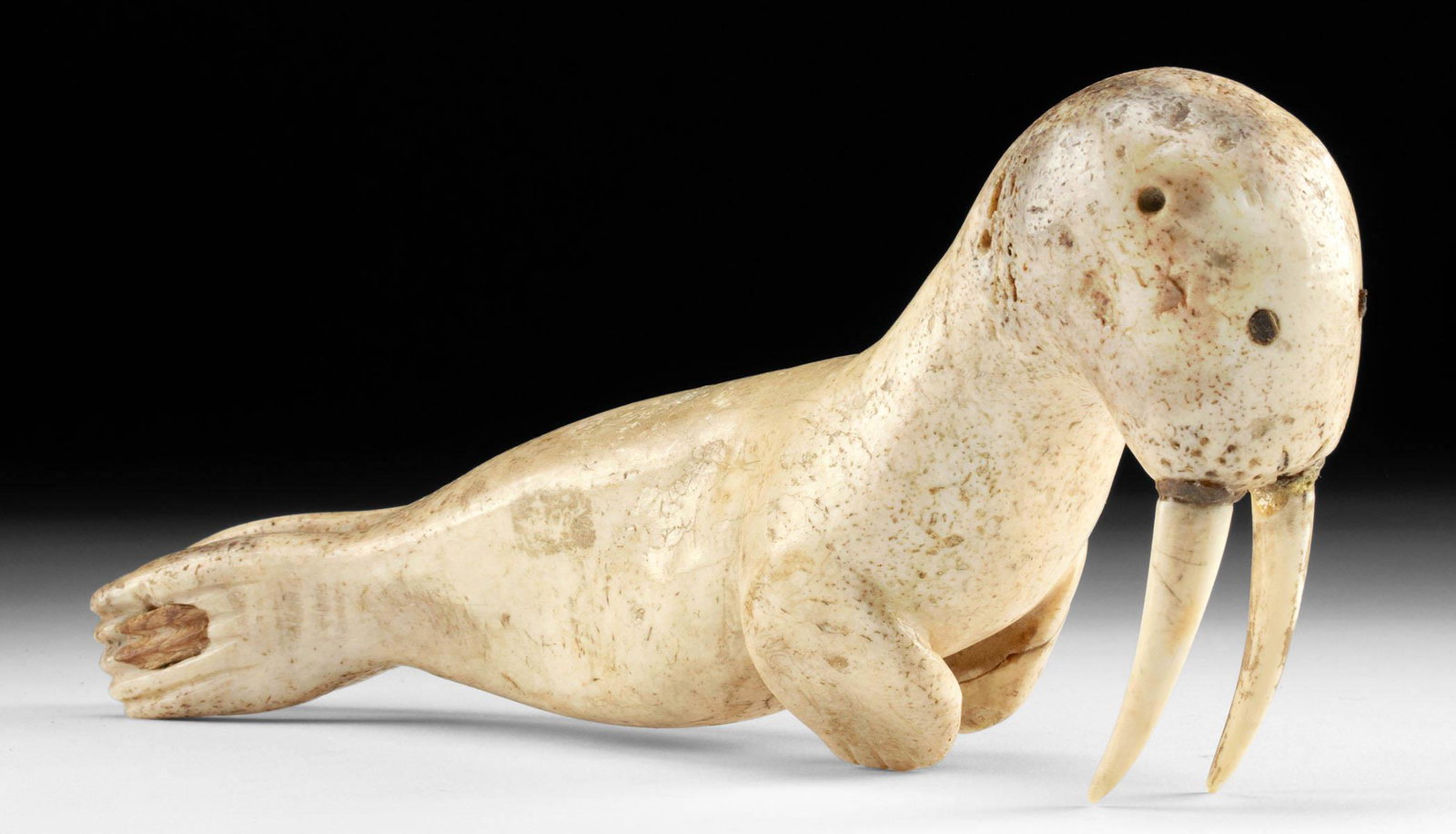 19th C. Inuit Carved Walrus Effigy: **First Time At Auction** Native American, Northwestern United States, Alaska, Inuit culture, ca. 19th century CE or earlier. A hand carved walrus ivory effigy of a walrus, the elongated body and atta