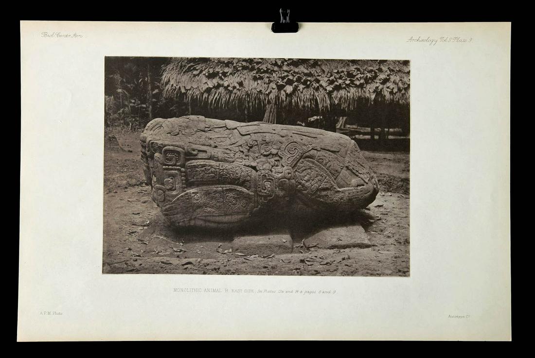Maudslay Photogravure - Quirigua. Monolithic Animal B (1 of 5)