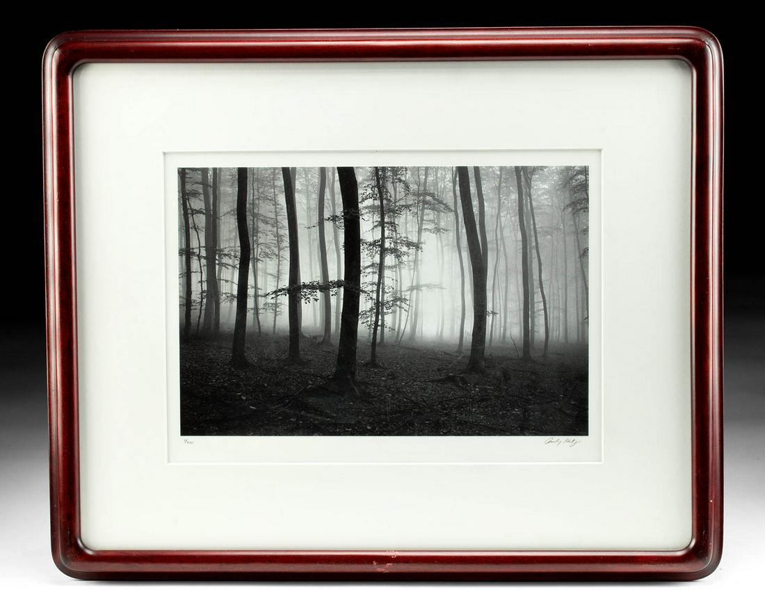 Andy Katz Photograph - "Luxembourg Trees": **Originally Listed At $350** Andy Katz (American, XX-XXI). "Luxembourg Trees" photograph, n.d. Edition 2 of 400. Signed and numbered in pencil below the image. An enchanting black and white photograp