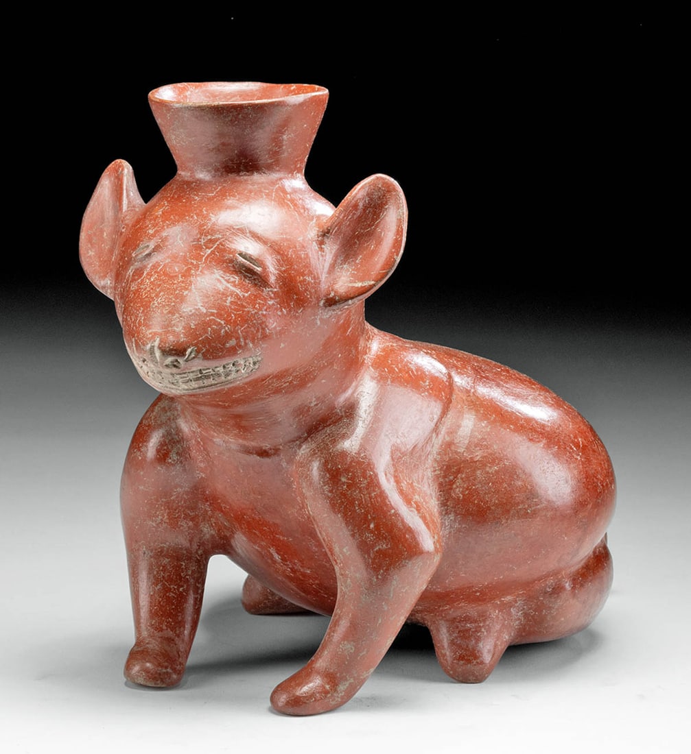 Fine Colima Redware Dog Effigy Vessel: Pre-Columbian, West Mexico, Colima, Protoclassic Period, ca. 100 BCE to 250 CE. A delightful, hand-built, and highly-burnished redware pottery vessel, of a sizable form, depicting a charming canine co
