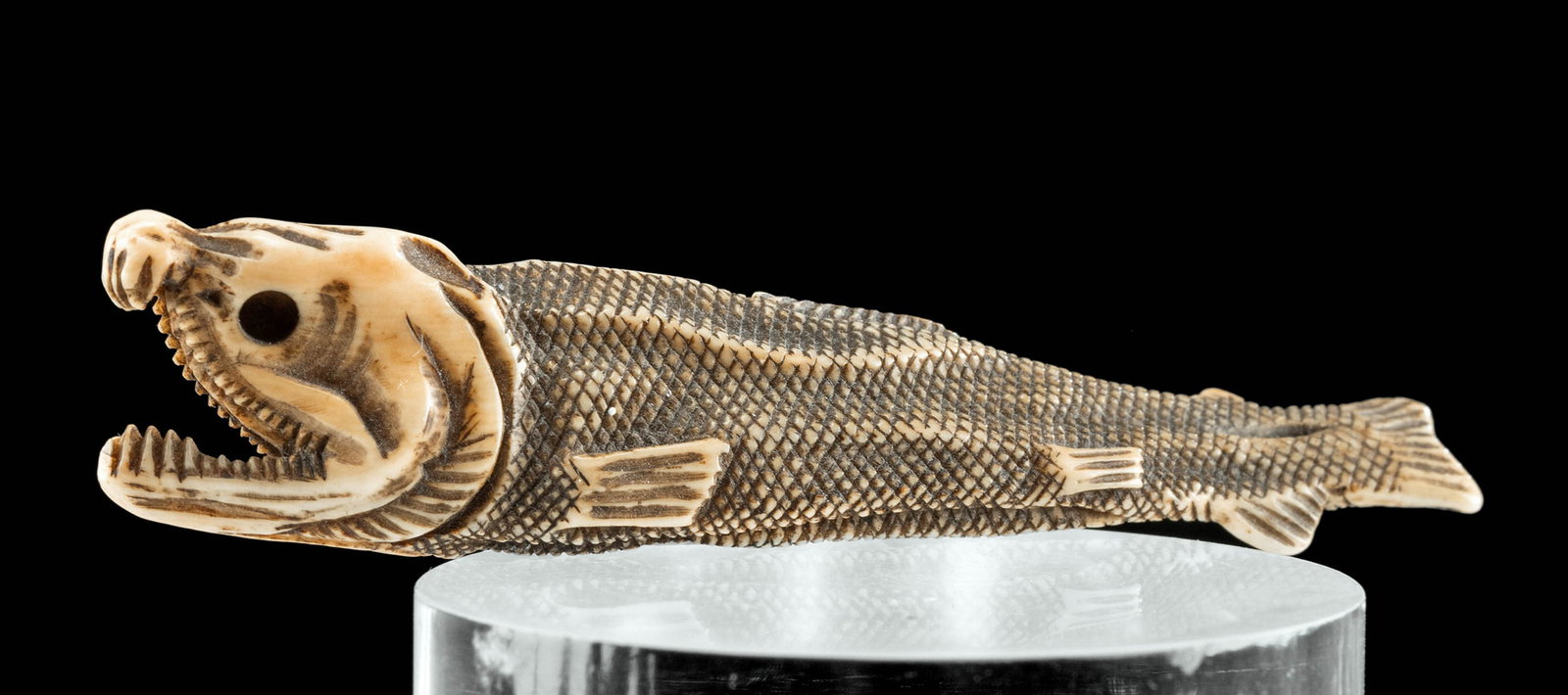 Japanese Edo / Meiji Ivory Netsuke Dried Himono Fish (1 of 3)
