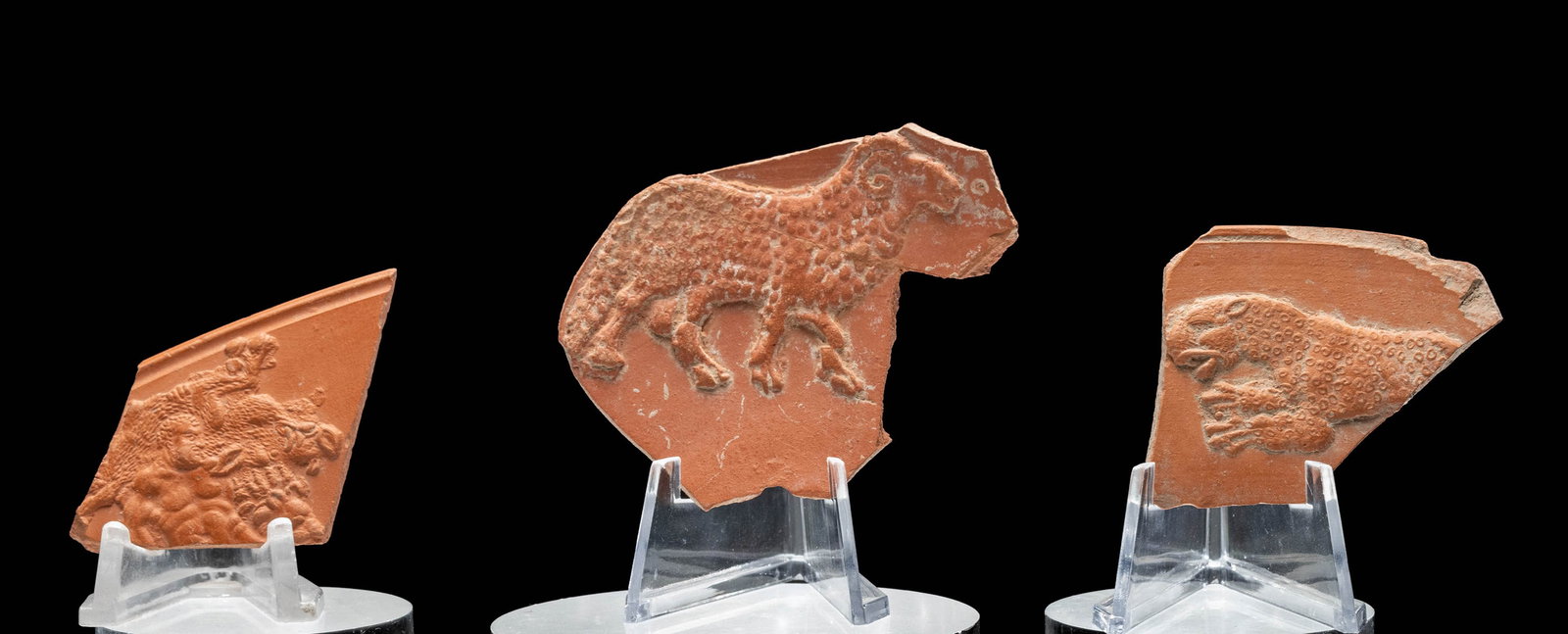 3 Roman Terracotta Fragments - Leopard, Ram, & Hercules (1 of 3)