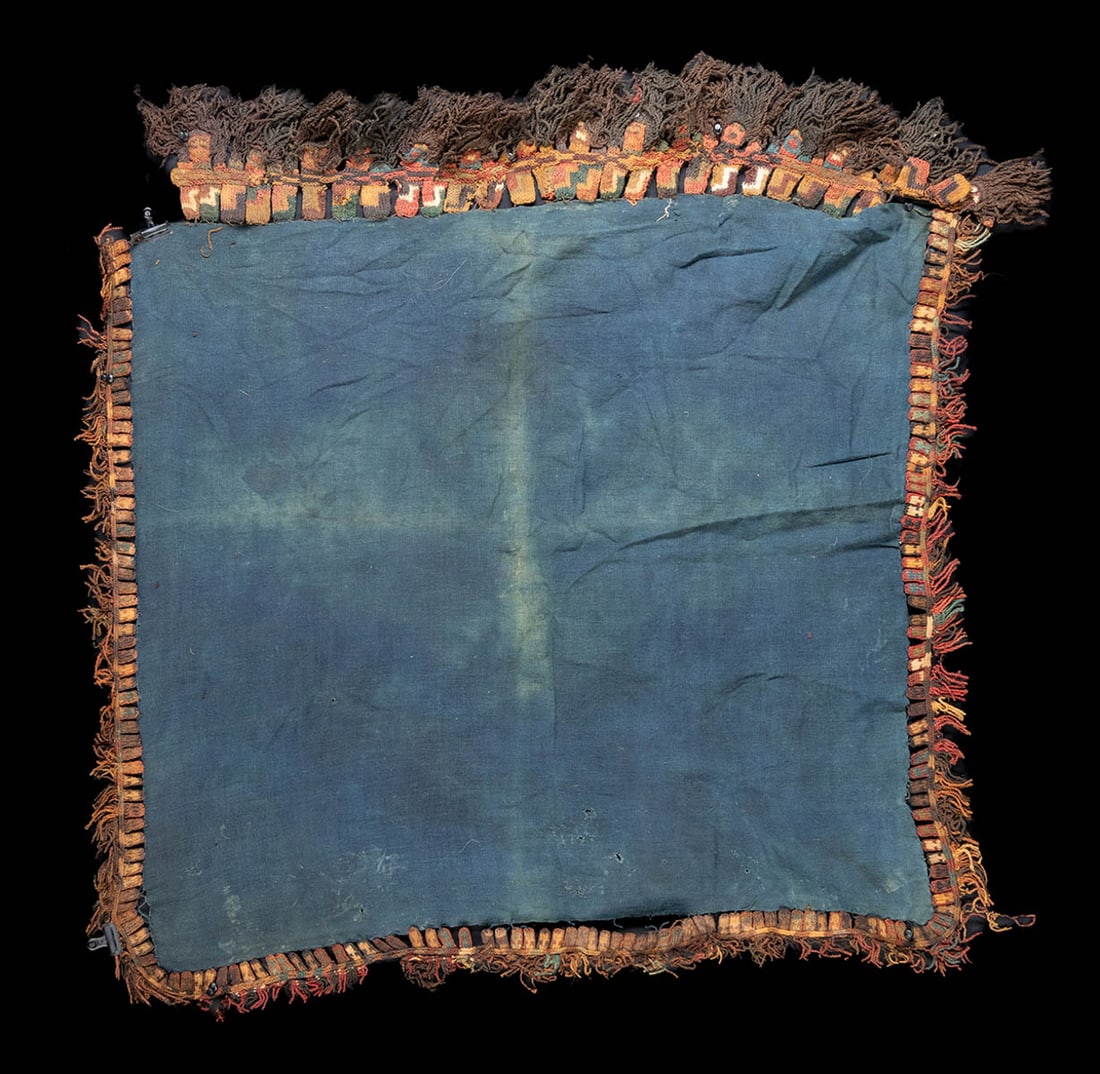 Early Nazca Camelid Textile w/ Munecas Fringe (1 of 4)