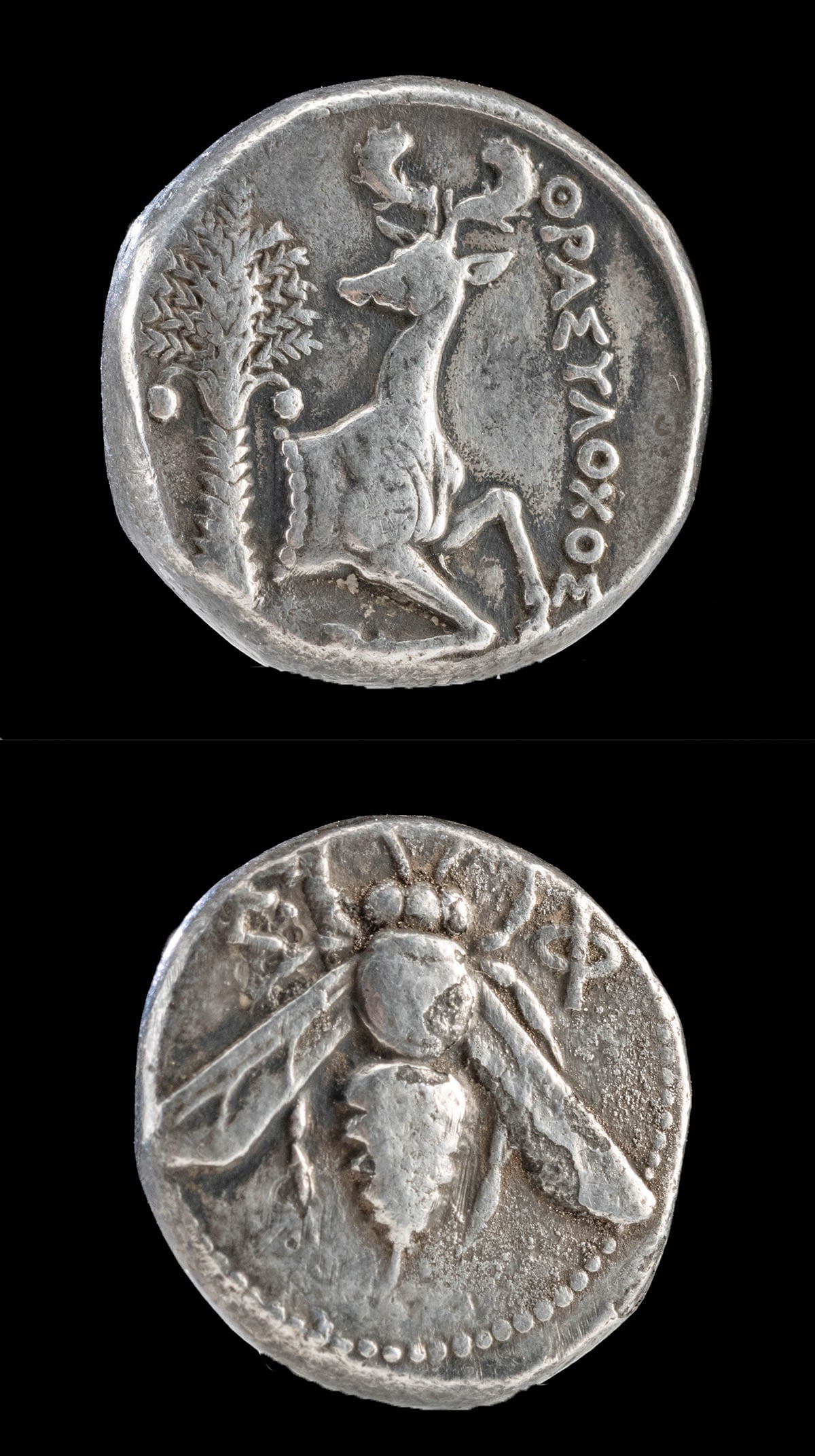 Greek Ionian Ephesus Tetradrachm w/ Stag and Bee: Ancient Greece / Asia Minor, Ionia, Ephesus, ca. 390 to 330 BCE. A very fine silver tetradrachm - a Rhodian weight standard - displaying an obverse of a bee with straight wings flanked by the Greek le