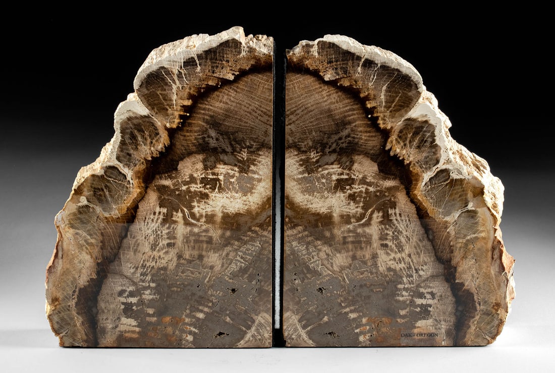 Eocene Period Petrified / Fossilized Wood Bookends (1 of 4)