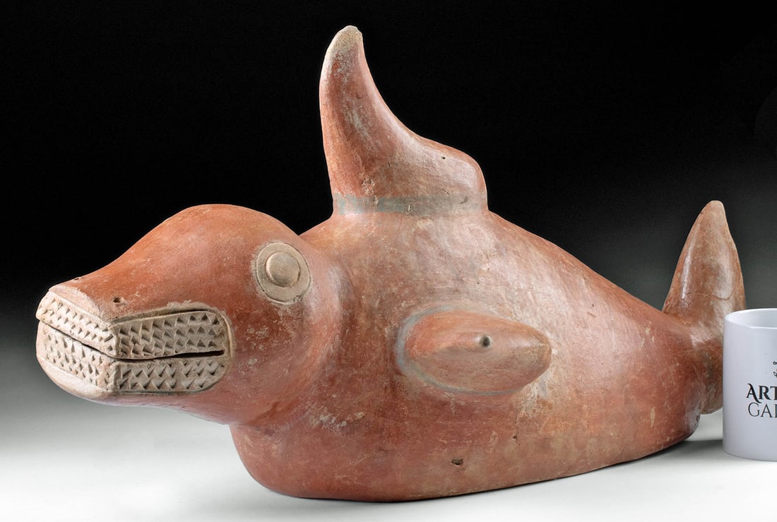 Huge Tumaco / La Tolita Redware Shark, ex-Sotheby's: **Originally Listed At $3000** Pre-Columbian, Colombia or Ecuador, Tumaco/La Tolita, ca. 1st to 5th century CE. A ferocious pottery example of a stylized shark, exhibiting a huge head with bulging rou