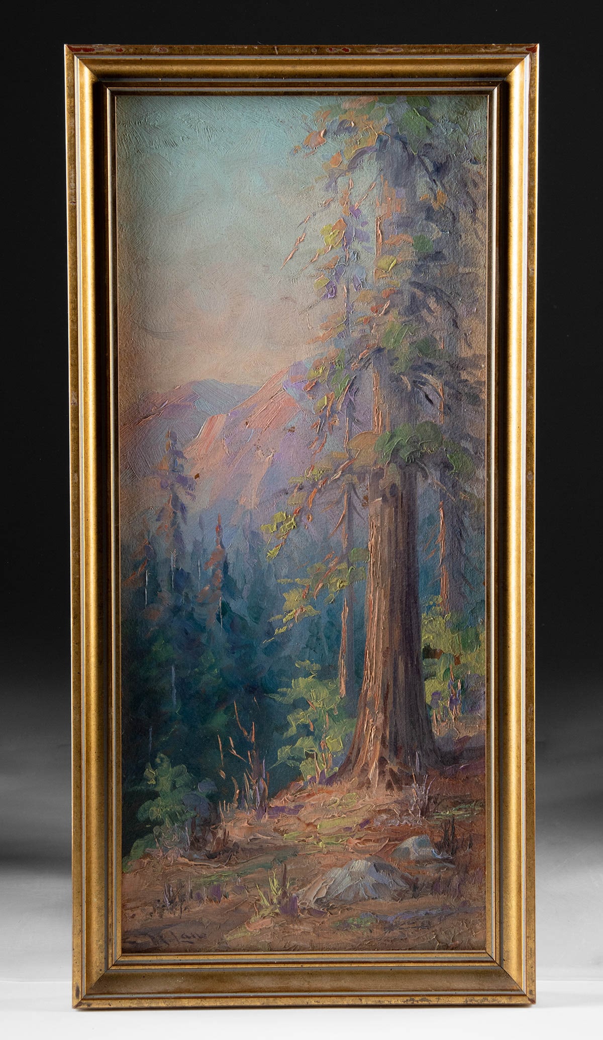 Martella Cone Lane Painting - Redwoods & Mountains: Martella Cone Lane (American, 1875-1962). Redwoods and Mountains. Oil on board, n.d. Signed at lower left. A beautiful painting by American artist Martella Cone Lane depicting a serene landscape of a