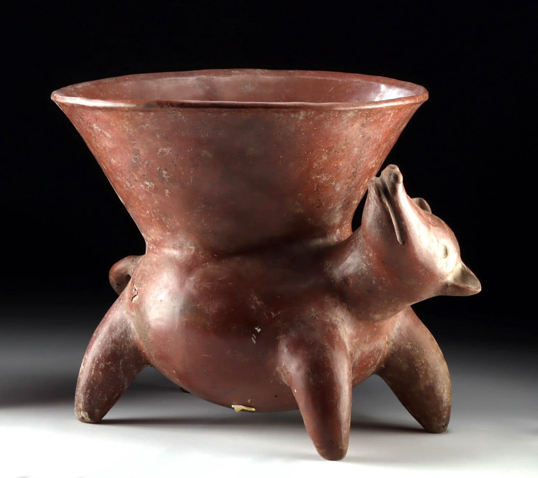 Huge Colima Redware Vessel Coatimundi w/ Bowl Atop: Pre-Columbian, West Mexico, Colima, ca. 100 BCE to 250 CE. An adorable and impressively sizable ceramic vessel in the form of a coatimundi, standing on 4 chubby legs as he curiously twists his head to