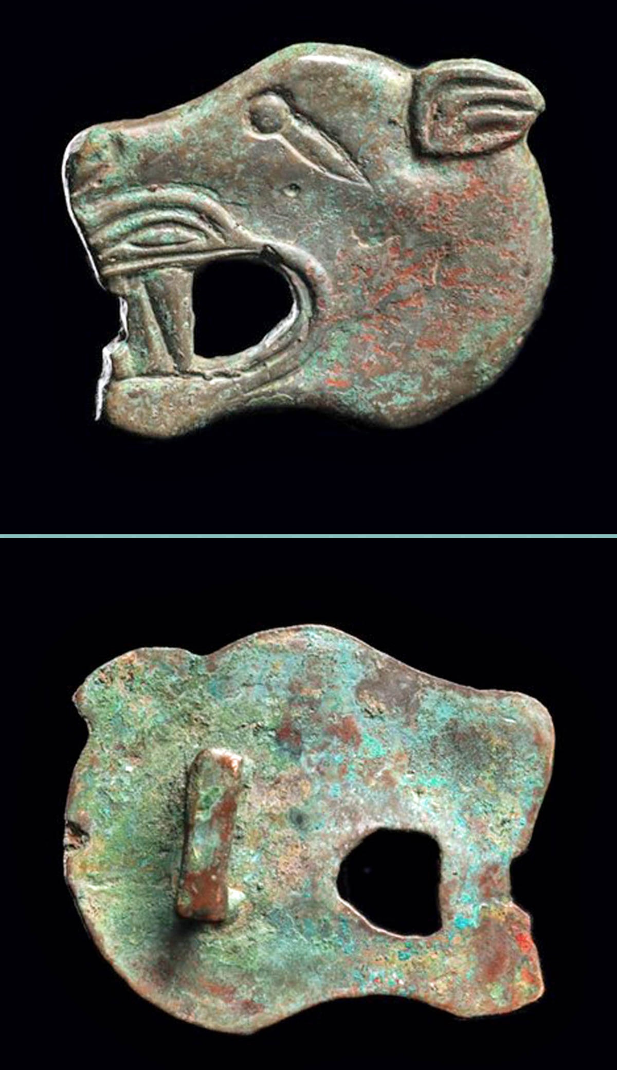 Ancient Scythian Bronze Attachment Lioness Head (1 of 1)