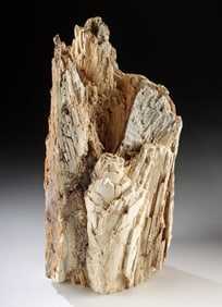 Large Fossilized Colorado Mammoth Tusk Fragment