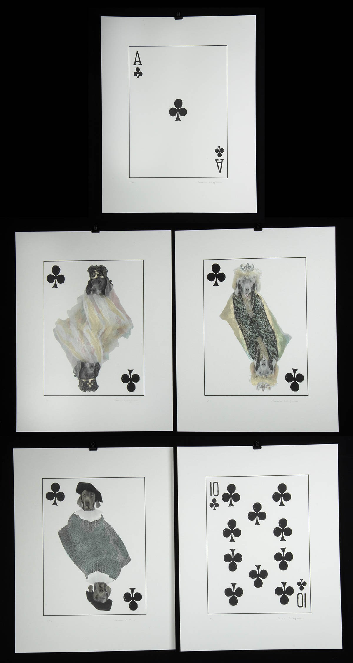 Five William Wegman Royal Flush Prints - Clubs (1 of 5)