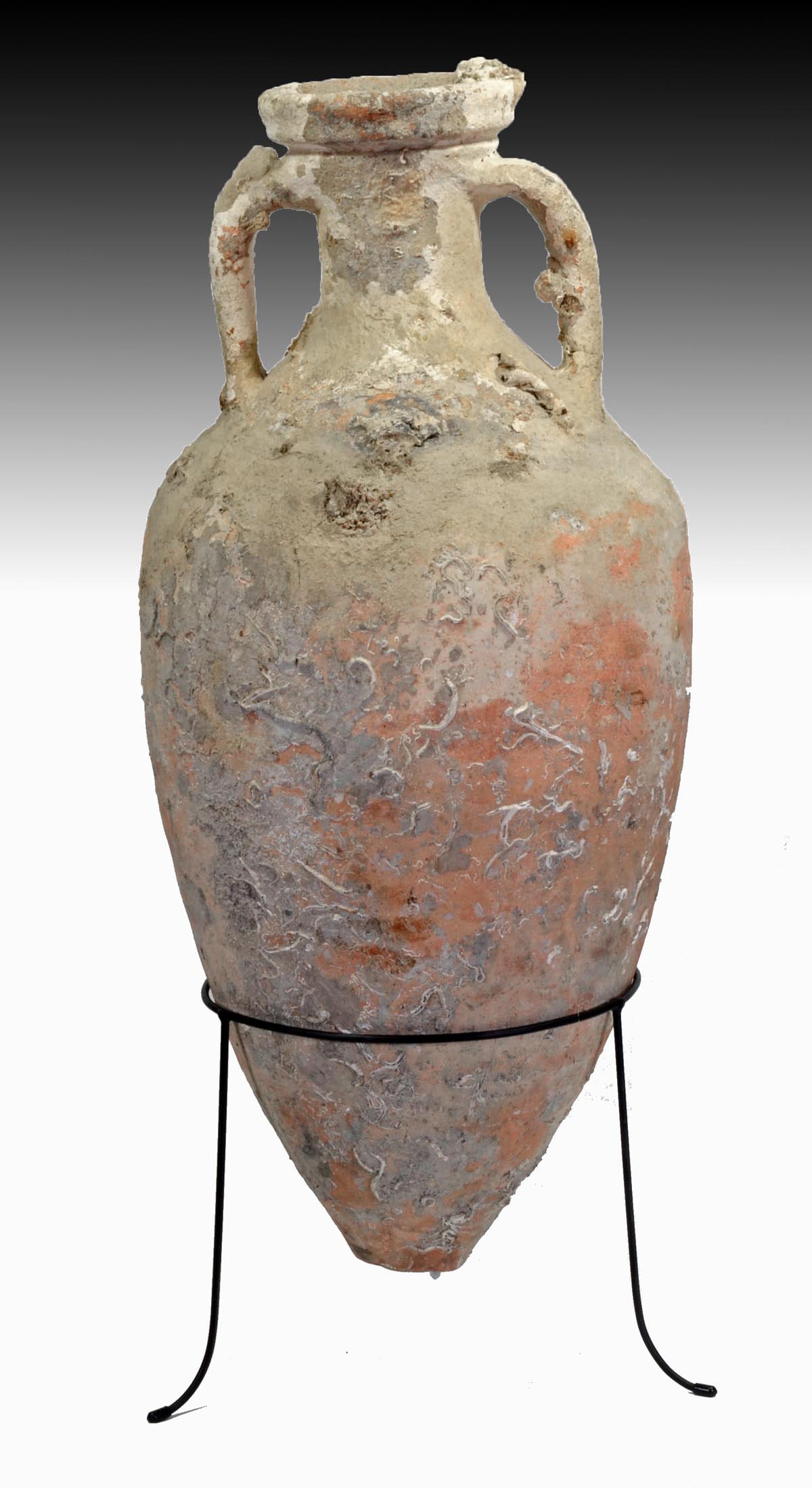 Ancient Roman Pottery Wine Amphora + Marine-Encrustions: Roman, Republic to Imperial Period, ca. 100 BCE to 100 CE. A well-preserved Roman pottery amphora featuring twin vertical grooved handles, a cylindrical neck with a collared rim, and a tapered body wi