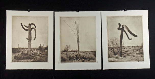 Mark Klett Photogravure Triptych - "Desert Citizens": Mark Klett (American, b. 1952). Three "Desert Citizens" gelatin silver prints: Nos. "27", "43," and "45." Publisher's print 3/3. All hand-signed with number in series and "PP 3/3" beneath image. A spl