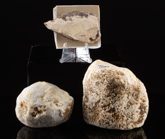 Paleolithic French Chert Tools, Clactonian Tradition!