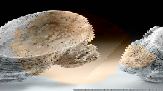 Taino Stone Bowl - Zemi / Abstract Turtle Form: Pre-Columbian, Caribbean area, perhaps Dominican Republic, Taino (Arawak) Indians, ca. 1000 to 1500 CE. A wonderful bowl carved from mottled stone in hues of cream, wheat, and beige that depicts an ab