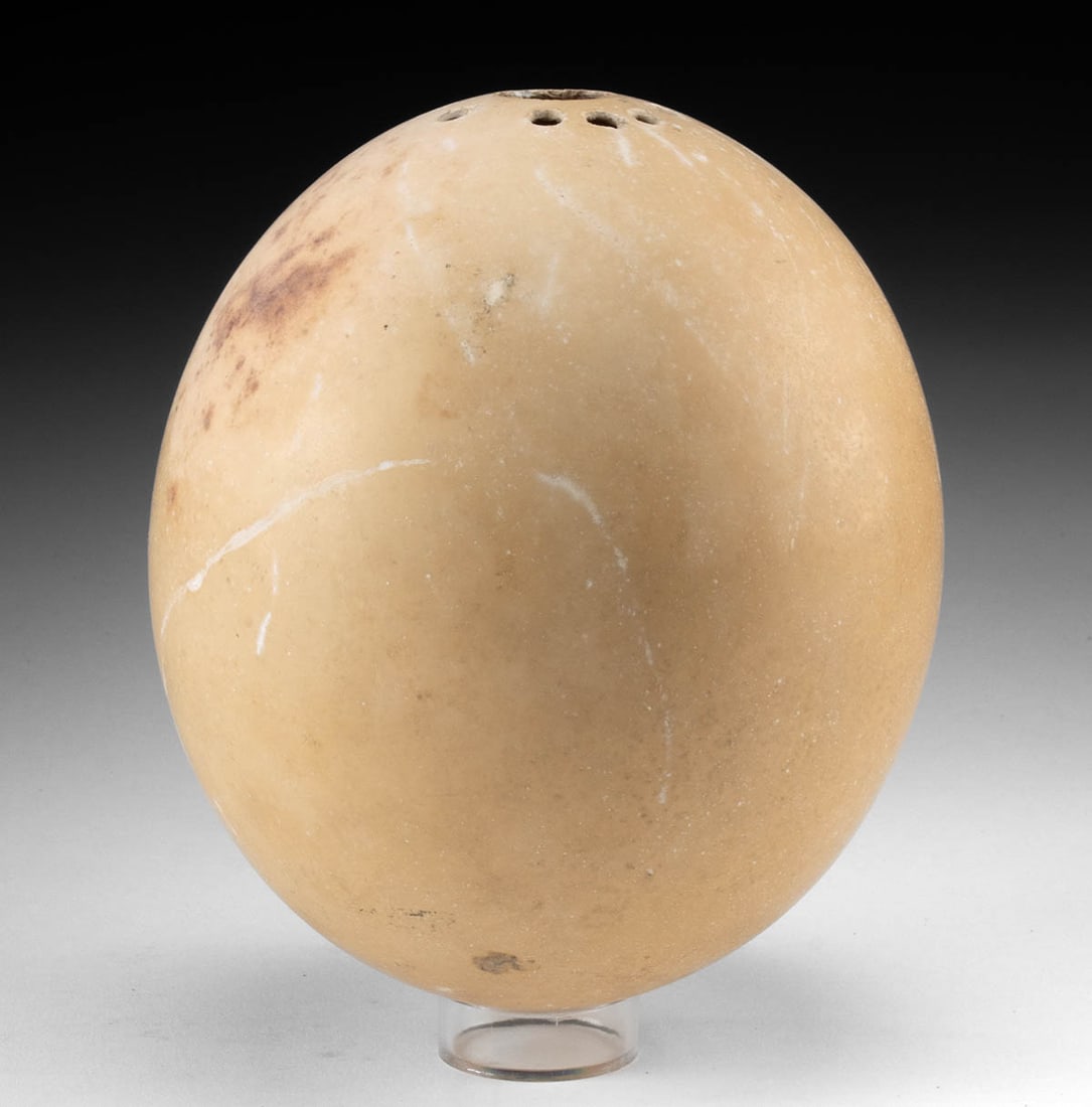 Bronze Age Ostrich Egg Vessel w/ Suspension Holes (1 of 4)