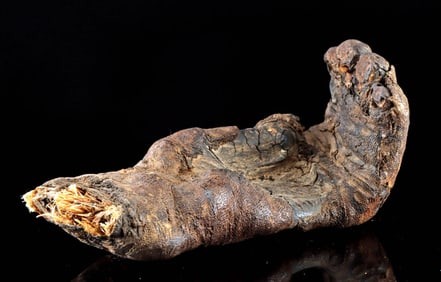 Rare Mummified Egyptian Baboon Paw in Linen Wrappings